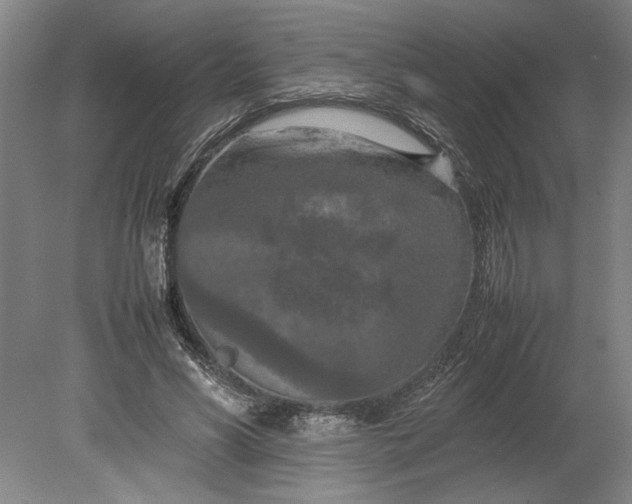 X0000080800590200701021252