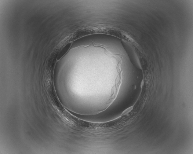X0000080800593200701021252