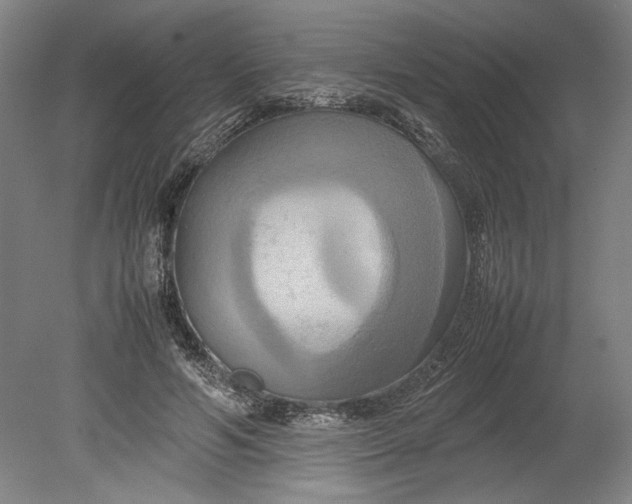 X0000080800594200701021252