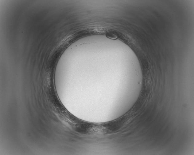X0000080800595200701021252