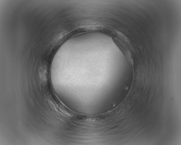 X0000080800596200701021252