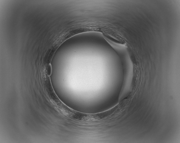 X0000080800597200701021252