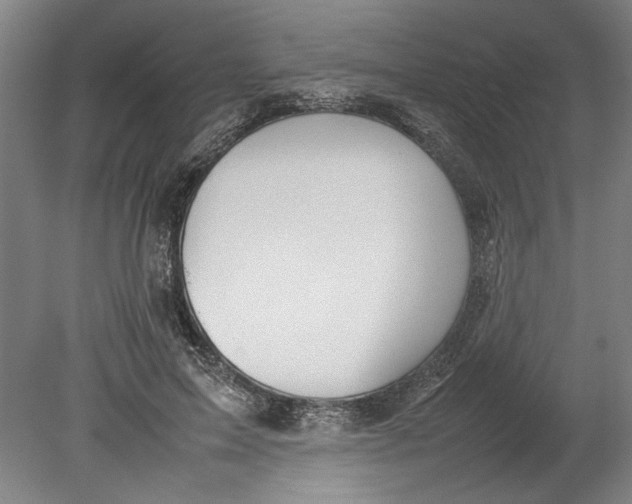 X0000080800599200701021252