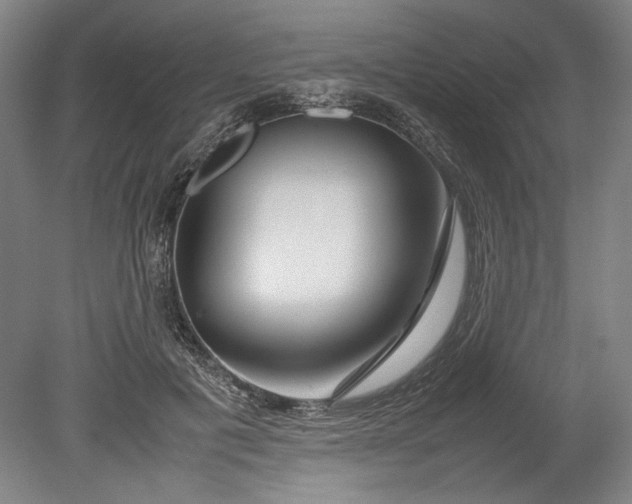 X0000080800601200701021252