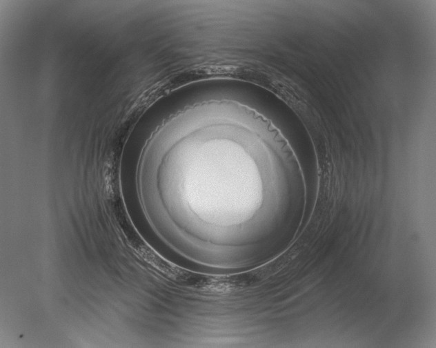 X0000080800604200701021252