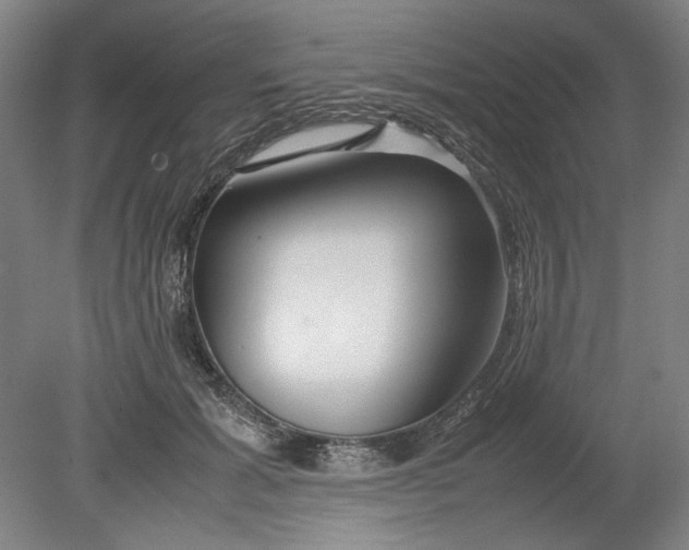 X0000080800605200701021252