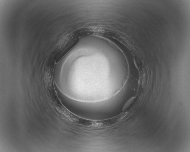X0000080800609200701021252