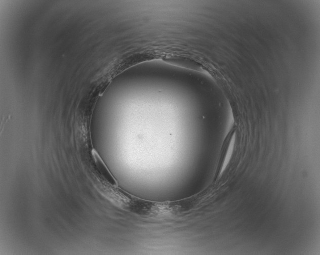 X0000080800613200701021251
