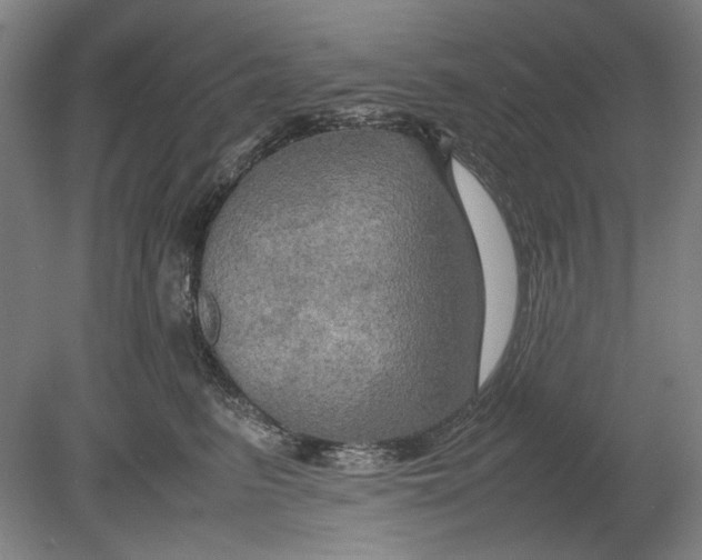 X0000080800615200701021251