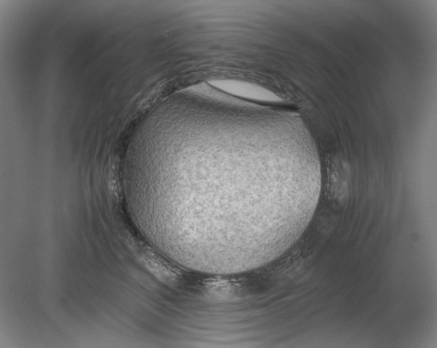 X0000080800616200701021251