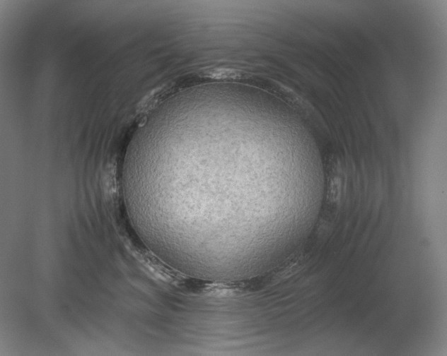 X0000080800620200701021251