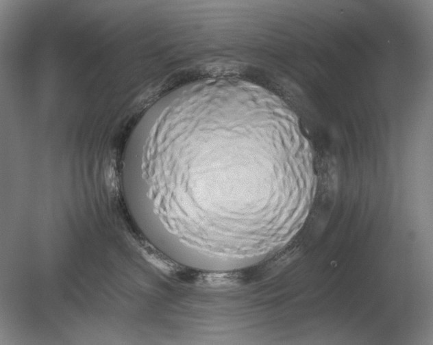 X0000080800622200701021251