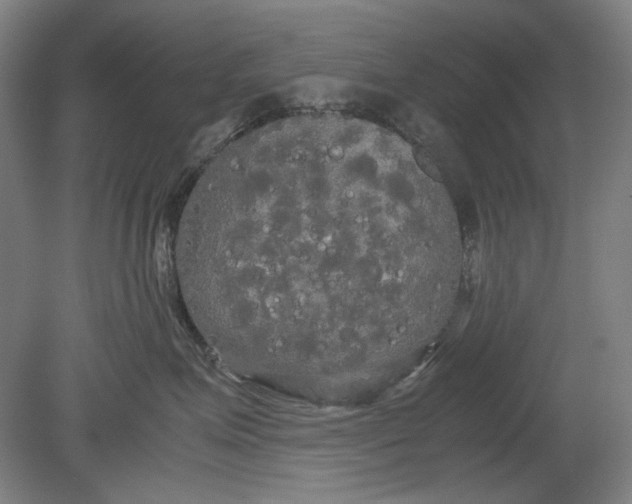 X0000080800623200701021251
