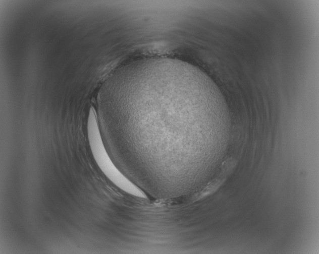 X0000080800624200701021251