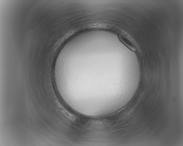 X0000080800625200701021250