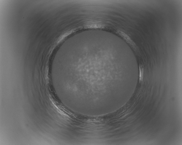 X0000080800627200701021251