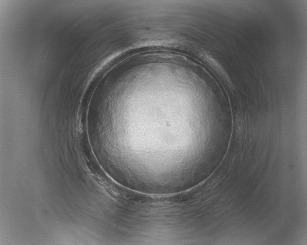 X0000080800628200701021251