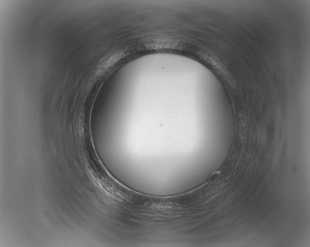 X0000080800631200701021251