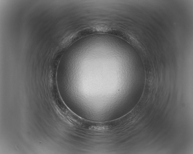 X0000080800639200701021251