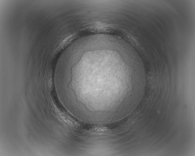 X0000080800642200701021251