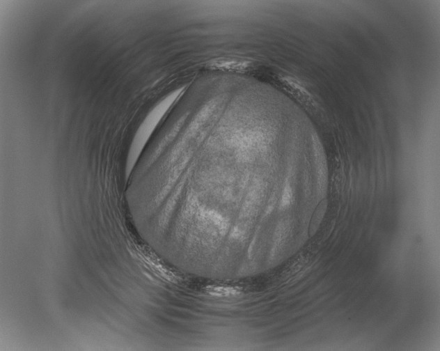 X0000080800649200701021251