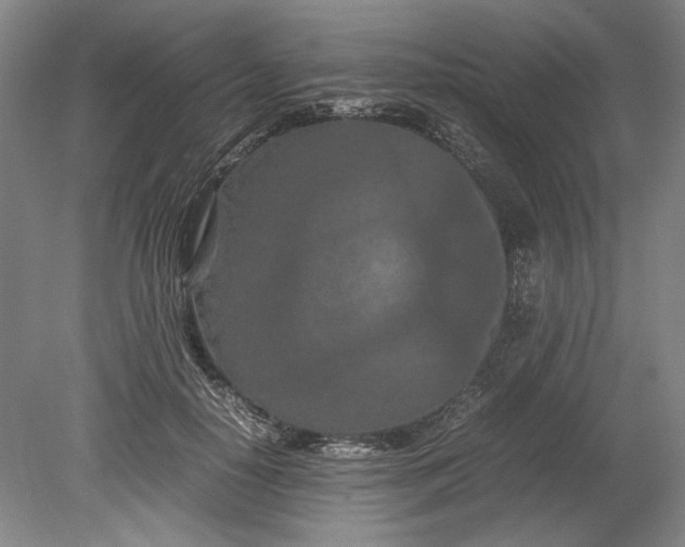 X0000080800650200701021251