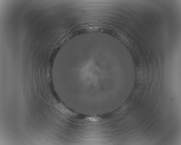 X0000080800654200701021251