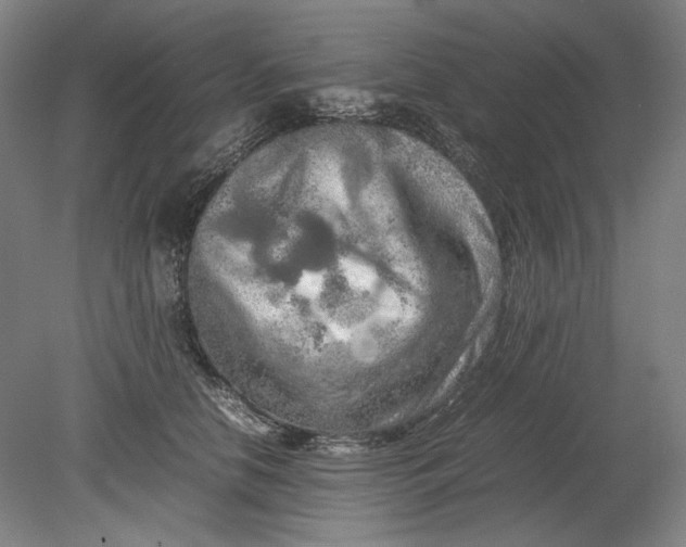 X0000080800658200701021251