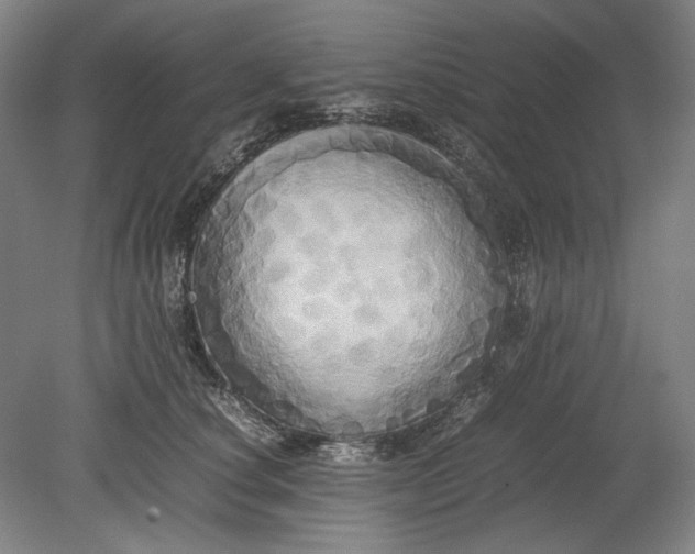 X0000080800660200701021251