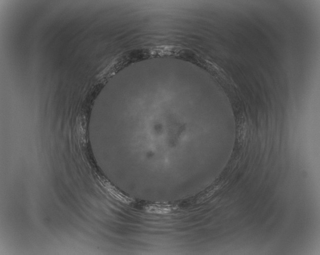 X0000080800661200701021251