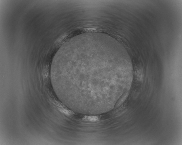 X0000080800665200701021251