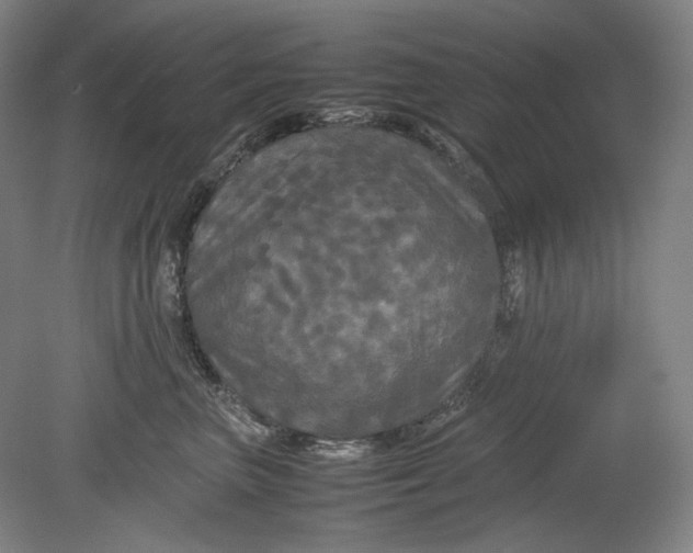 X0000080800667200701021251