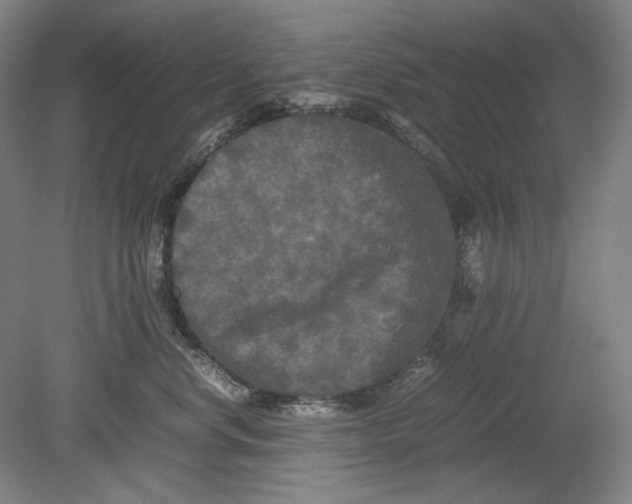 X0000080800668200701021251