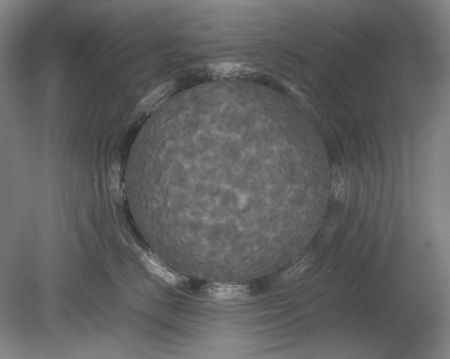 X0000080800670200701021251