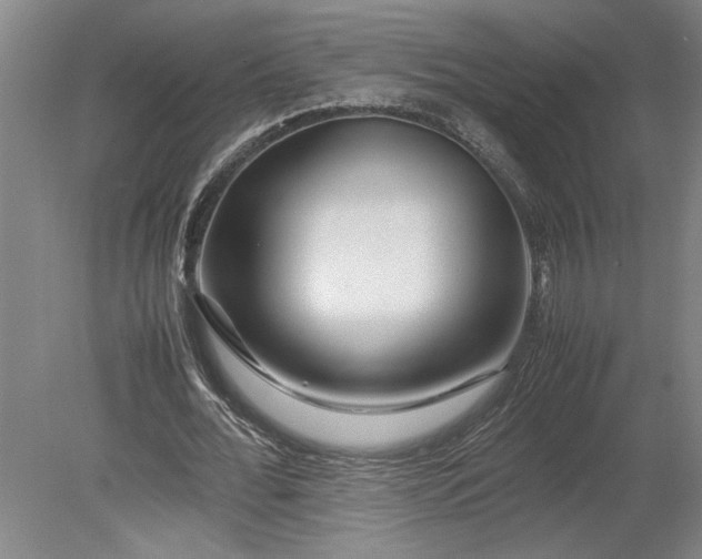 X0000080800676200701021250