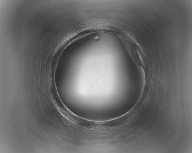 X0000080800677200701021250