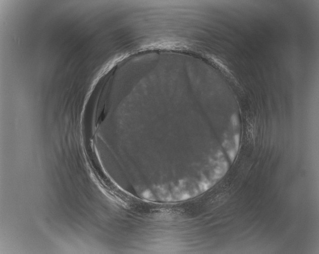 X0000080800678200701021250