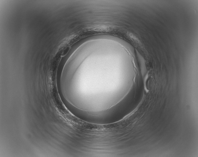 X0000080800688200701021250