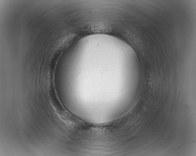 X0000080800690200701021250