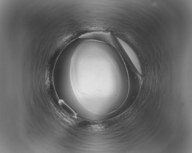 X0000080800692200701021250