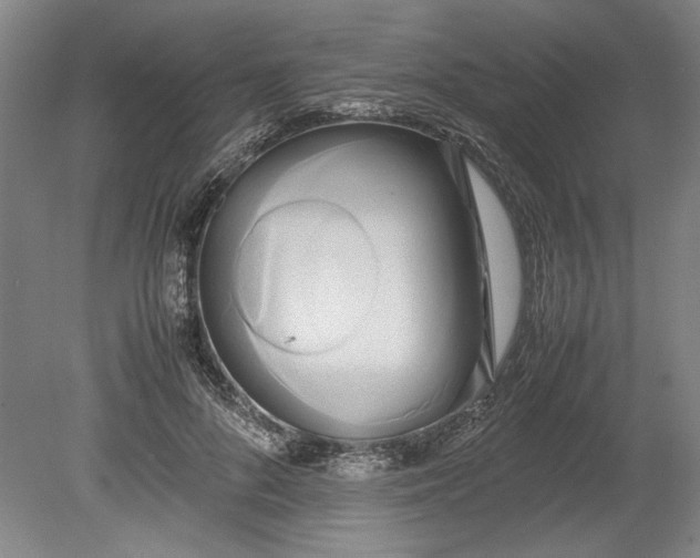 X0000080800696200701021250