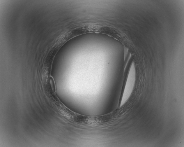 X0000080800697200701021250