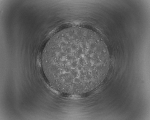 X0000080800719200701021250