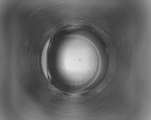 X0000080800720200701021250