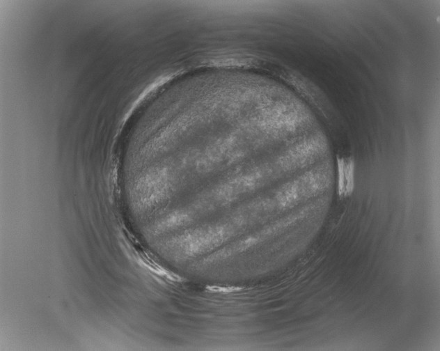 X0000080800723200701021249