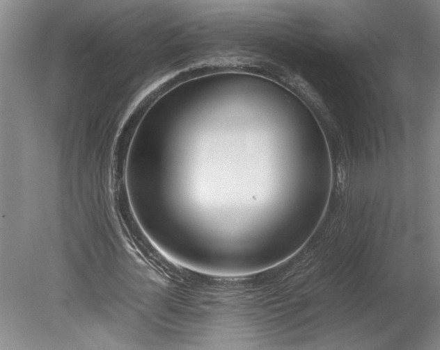 X0000080800724200701021249
