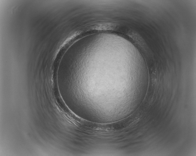 X0000080800727200701021249