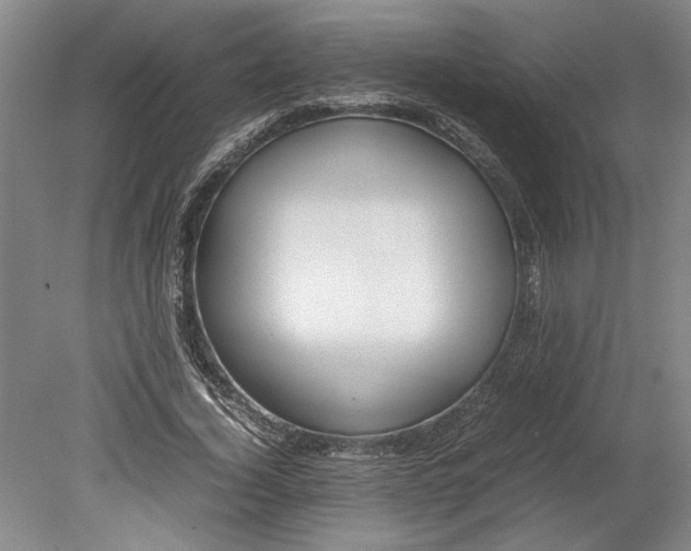 X0000080800732200701021249