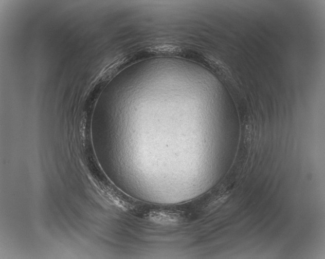 X0000080800739200701021249