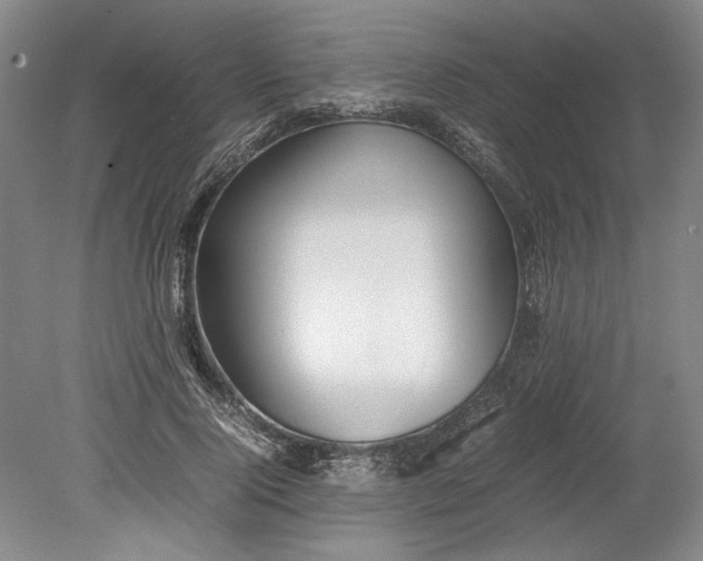 X0000080800740200701021249